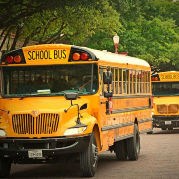 school bus rental